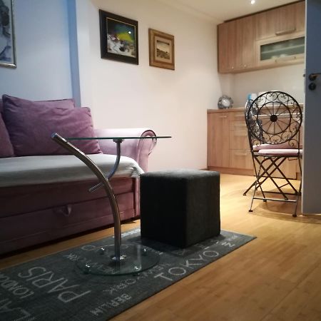 Apartman Galerija 诺威萨 外观 照片