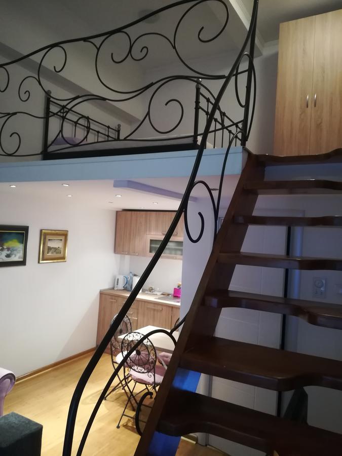 Apartman Galerija 诺威萨 外观 照片
