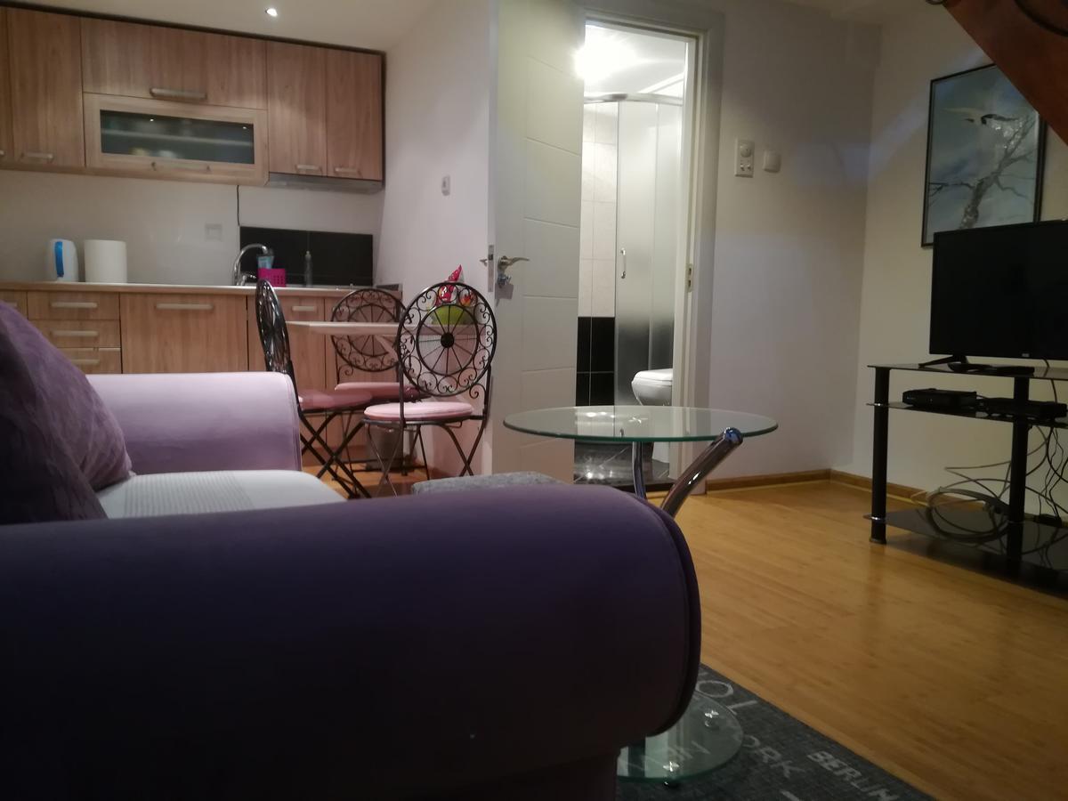 Apartman Galerija 诺威萨 外观 照片