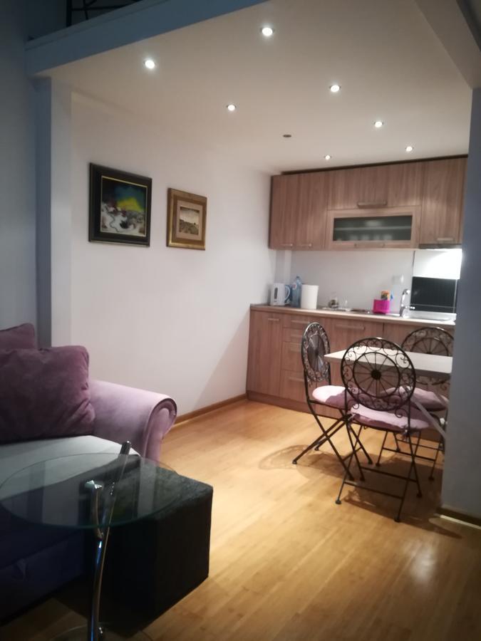 Apartman Galerija 诺威萨 外观 照片