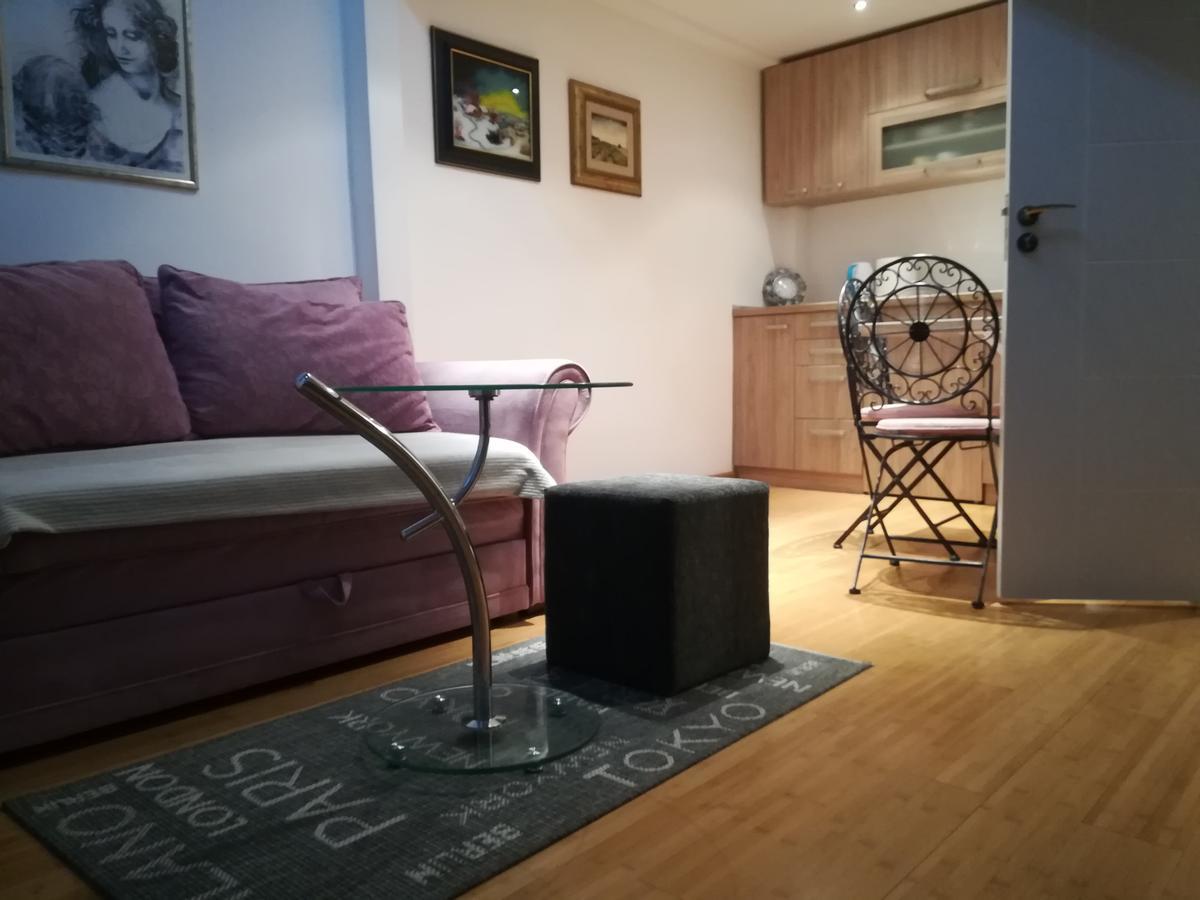 Apartman Galerija 诺威萨 外观 照片